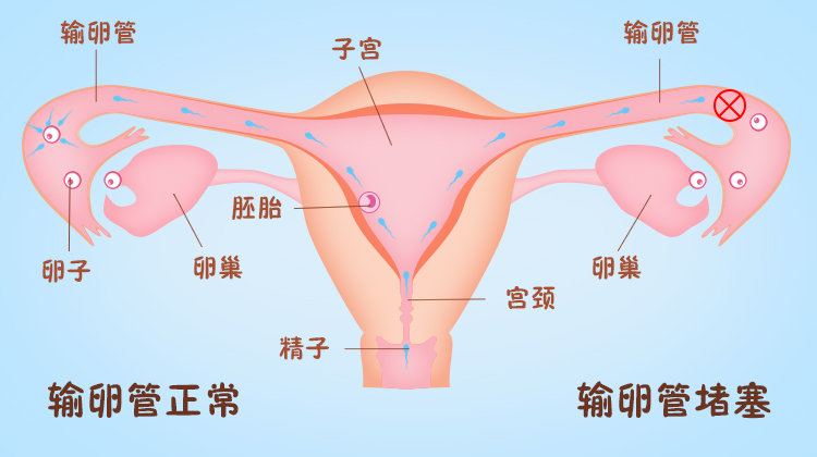 微信图片_20190722173149